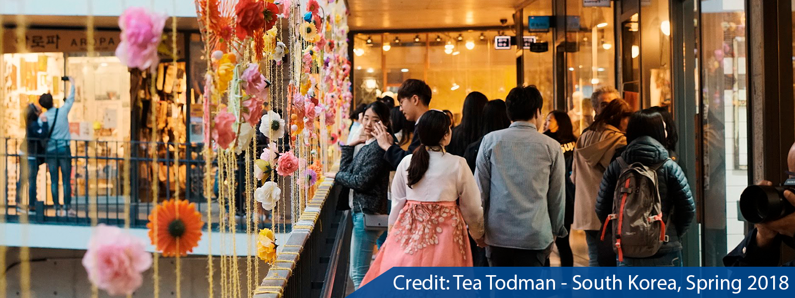 Tea Todman - South Korea, Spring 2018